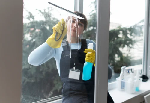 Nettoyage de vitres intérieures et extérieures à Géraudot